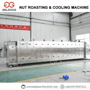 500-1000 Kg/h Continuous Filbert Nut Roasting Machine Hazelnut Roasting Machine thumbnail-1