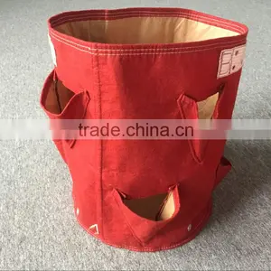 Garden Grow Bag/ Planter Grow Bag/strawberry Grow Bag thumbnail-2