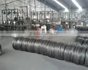 Linyi Lilong Trade Co., Ltd. company overview - view 2 thumbnail