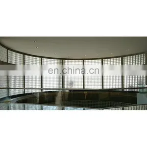 Patten Texture Eco-friendly Outdoor Wall Decorative Exterior Hollow Glass Brick thumbnail-5