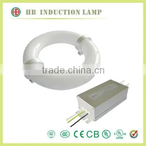 Super Long Life 150W Electrical Round Energy Saver Induction Electrodeless Lamp thumbnail-1