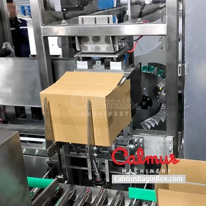 Carton Packaging Machine for Doypack Pouches thumbnail-4