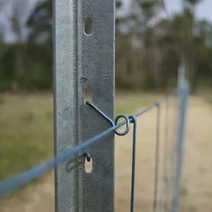 Factory Wholesale 6 7 ft Heavy Duty Metal Post/t Post Used for Fence thumbnail-3