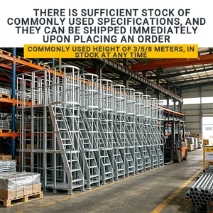 Long Lifespan Hot Dip Galvanized Steel Cage Ladder Maintenance Free Industrial Vertical Access Ladder thumbnail-1