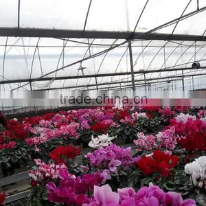 Most Economical Greenhouse Farm for Sale thumbnail-2