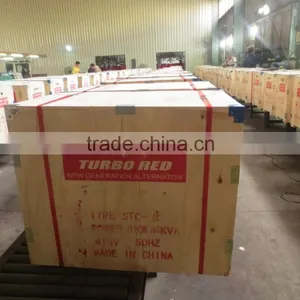 AC Single Phase Output Type 3kva ST STC BRUSH ALTERNATOR thumbnail-5