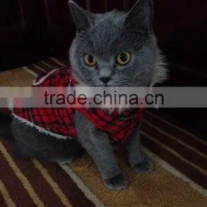 Pet Clothes thumbnail-1