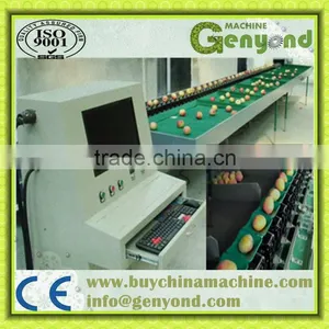Computer-controlled Fruit Sorting and Grading Machine Quality Choice thumbnail-1