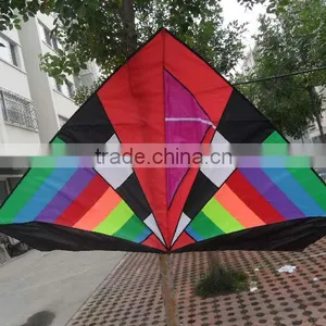 Delta Shape Kite thumbnail-1