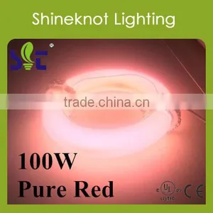 100w Hydroponic Growing Plant Induction Grow Lamp thumbnail-1
