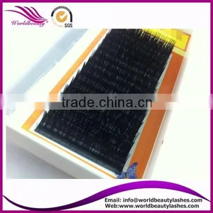 Top Quality Wholesale Price Eyelash Extension thumbnail-1