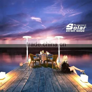 INTEFLY Manufactory Integrated Solar LED Landscape Light 25W thumbnail-5