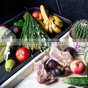 Trunk Waterproof Basin- to Store Food thumbnail-6