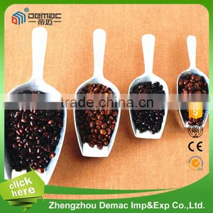 New Design Coffee Bean Processing Machinery thumbnail-1