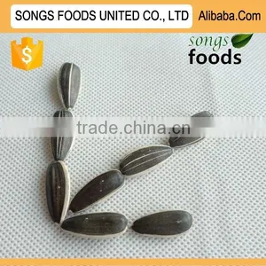 Sunflower Seeds Market Price New Crop thumbnail-1