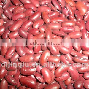 Dark Red Kidney Bean 2012 Crop thumbnail-1