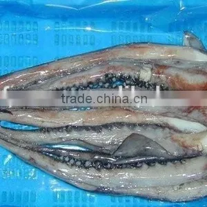 Frozen Todarodes Squid Tentacles thumbnail-2