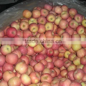 New Crop Fresh Fuji Apple thumbnail-6