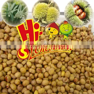 Frozen Chestnut for Sale---Hebei Chestnuts thumbnail-1