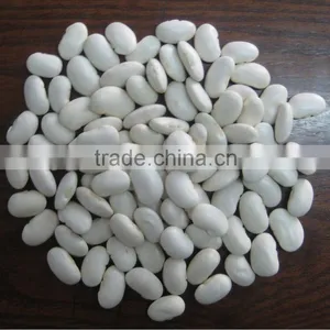 Supply China Large White Beans thumbnail-1