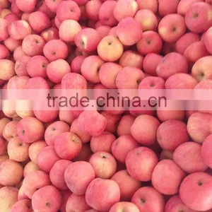Fresh Chinese Fuji Apple 2014 thumbnail-1