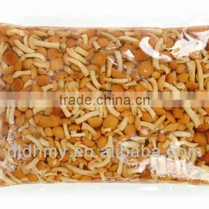 Brine Nameko Mushroom for European Market thumbnail-1