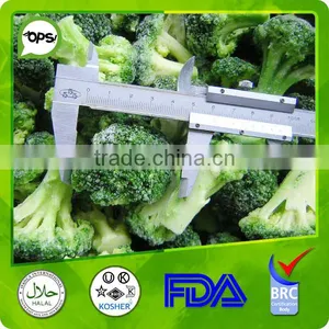 New Crop Frozen Broccoli thumbnail-3