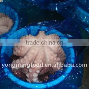 Octopus Cooked Frozen Iqf thumbnail-1
