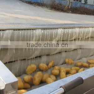 Attrition Type Potato Ginger Peeler Vegetable Fruit Washing Peeling Skin Removing Machine Ginger Peeler thumbnail-4