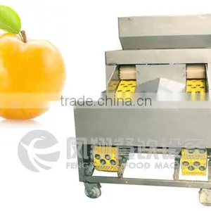 High Quality Plum Stoner, Plum Pitter, Plum Corer With CE Certificated thumbnail-1