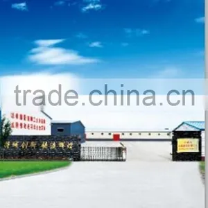 Chinese Long Shape Raw Sunflower Seeds Wholesale thumbnail-4