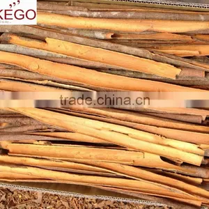 Cinnamon With Competitive Price and Good Price thumbnail-3
