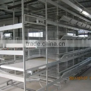 China Sell Automatic Quail Cage for Africa Market thumbnail-6