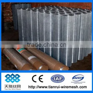 2x2 Galvanized Welded Wire Mesh for Fence Panel thumbnail-1
