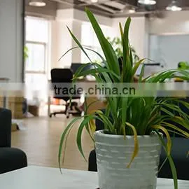 Shenzhen Nexqo Technology Co., Ltd. company overview - view 3 thumbnail