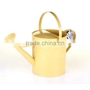 Metal Galvanised Steel Watering Can 9 Litre Garden Water Plants Green Cream Galvinised (Silver) thumbnail-6