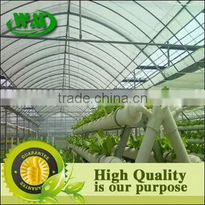 Transparent Agricultural Film for Greenhouse thumbnail-1