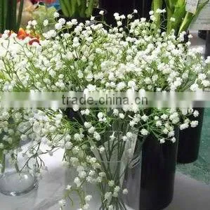 SJ10111103 Artificial Gypsophila Repens Flower/ Fabic Babybreath Mini Silk Flower thumbnail-1