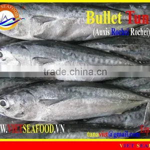 FROZEN W/R BULLET TUNA thumbnail-1