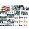 Garden Dotted Gloves/Personal Safety Equipment thumbnail-1