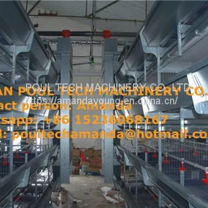 Colombia Chicken Shed With Poultry Cage for Chicken Feed for Brooding Chicks in Poultry Farming With Chicks Cage thumbnail-1