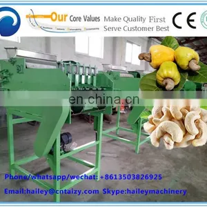 Automatic Cashew Nut Kernels and Shells Separator Machine/cashew Nut Shelling Machine/cashew Nut Processing Machine thumbnail-3