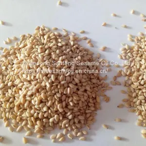 1kg Bag Packing Roasted White Sesame Seeds thumbnail-3