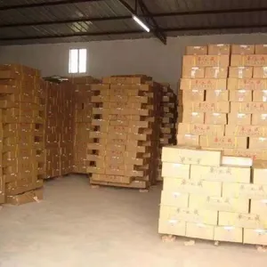 Xiamen Troya Candle Co., Ltd. company overview - view 4 thumbnail