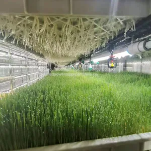40HQ Hydroponic Fodder System Container Farmhydroponic Growing Systems Shipping Container Hydroponic System thumbnail-1