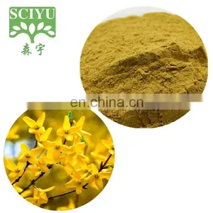100% Natural Forsythia Fructus Extract Weeping Forsythia Extract thumbnail-1
