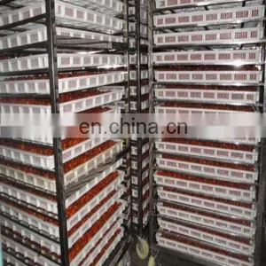 Heat Pump Dryer/Drying Machine for Fruit/Raisin thumbnail-4