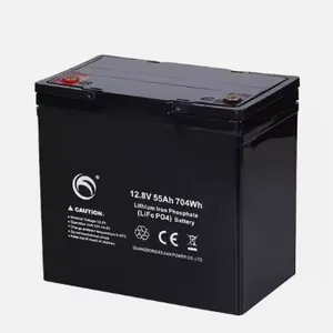 Lifepo4 Lithium Iron Phosphate 12.8V 55AH Rechargeable Batteries thumbnail-1