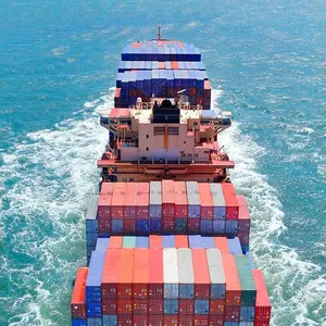 Expert China-to-Europe Logistics: DDP Shipping to Poland & Czechia thumbnail-4