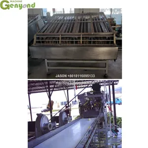 Automatic Sweet Corn Skin Removing Machine Green Corn Husker 10000pcs per Hour thumbnail-4